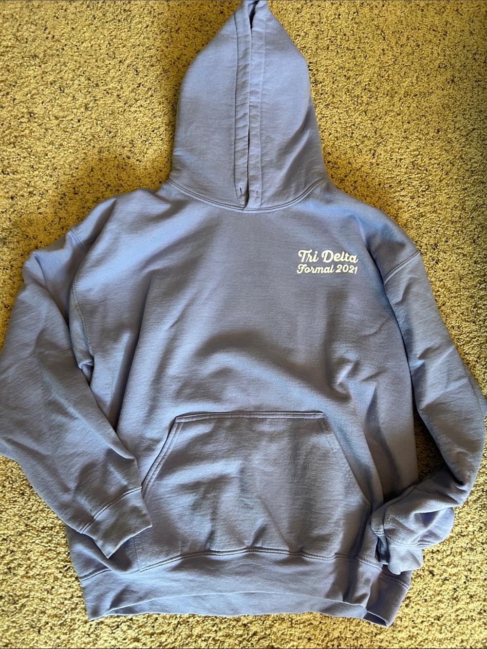 Tri Delta Formal 2021 purple Hooded Sweater
